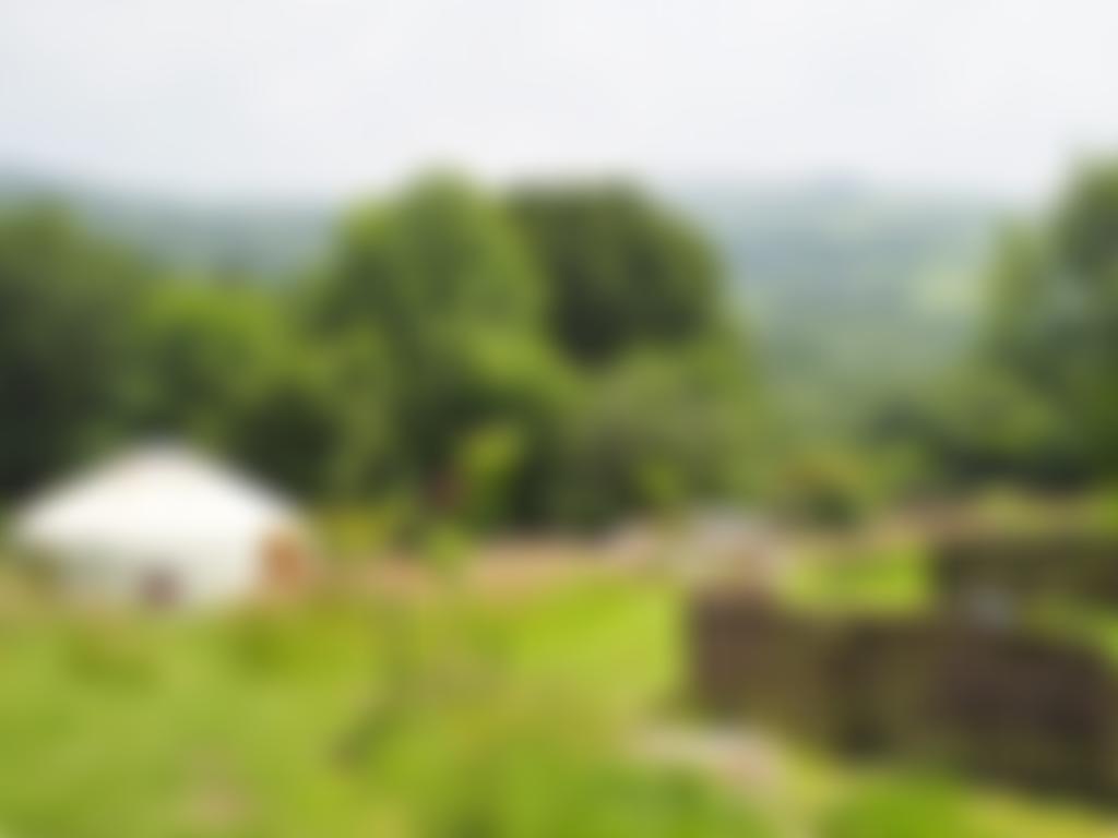 Lilah's Wood | Charici