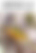 African Bird Club | Charici