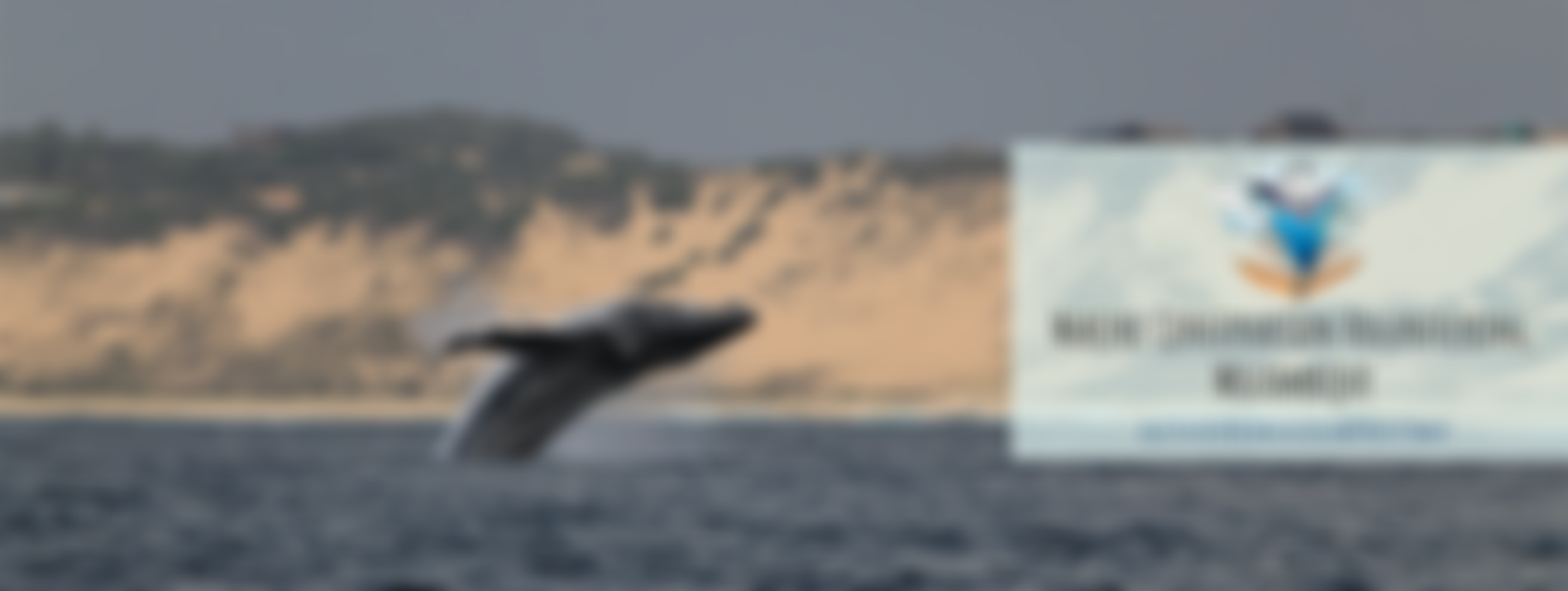 Love The Oceans Conservation | Charici