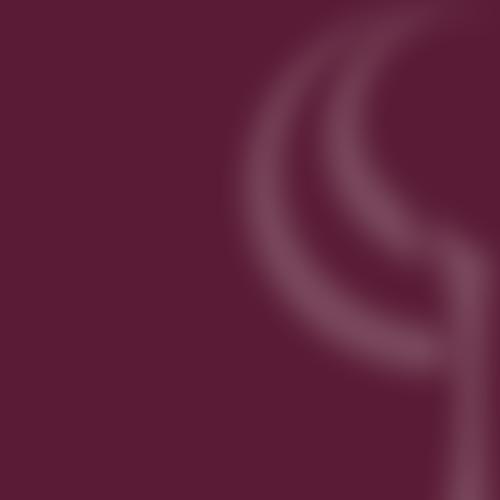 Birchwood Parents, Staff & Friends Association | Charici