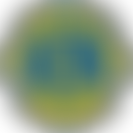 Frome Lions Club (Cio) | Charici