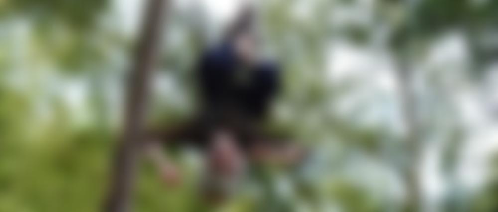 1St Shinfield (St Mary's) Scout Group | Charici