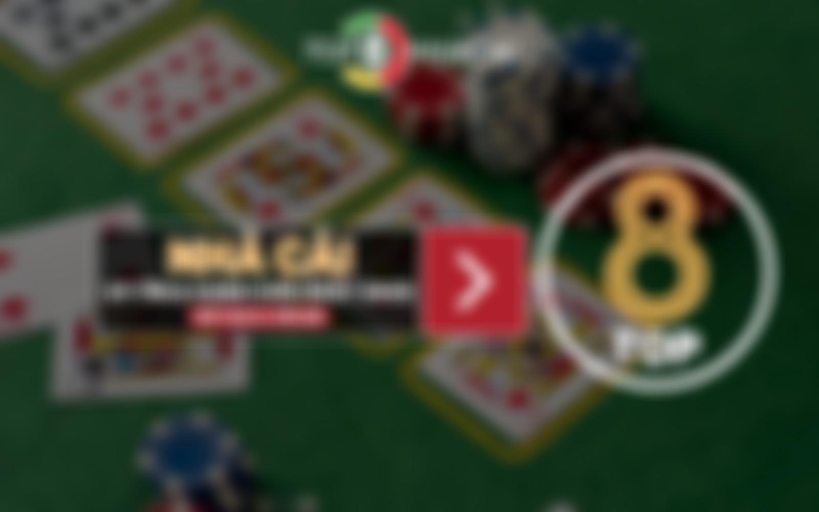 The Owl Sanctuary | Charici