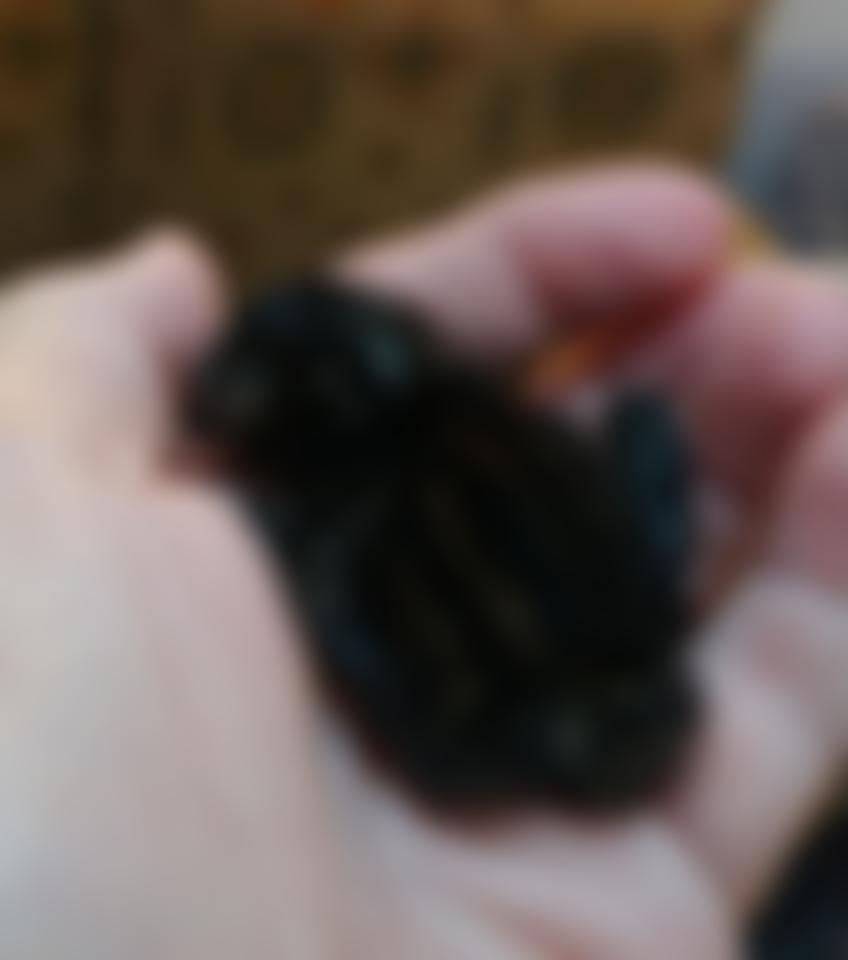 Ravenswell:supporting Cornish Wildlife | Charici