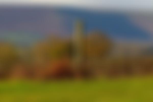 The Ewyas Harold Common Trust | Charici