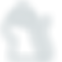 Wallington Animal Rescue | Charici