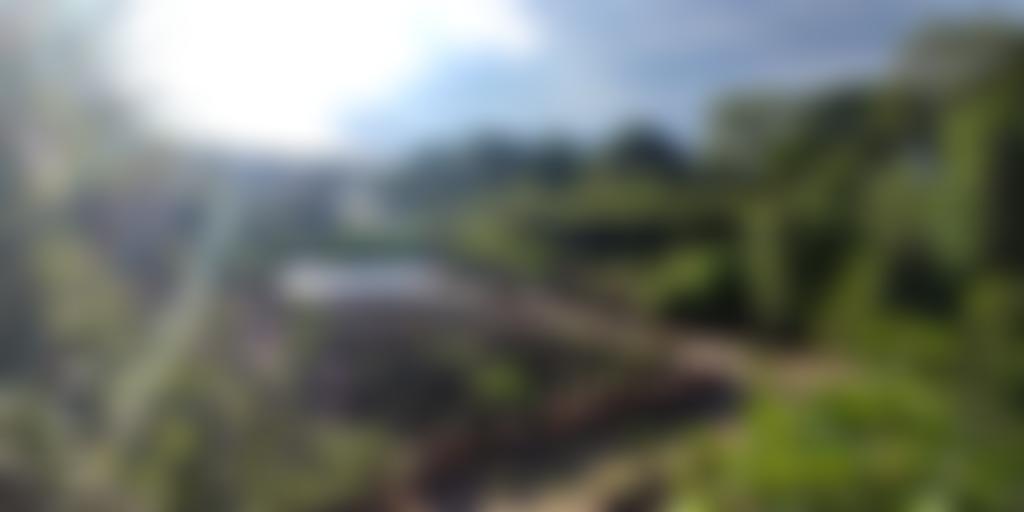 Northcliffe Allotment Society | Charici