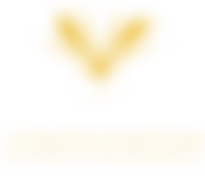 Tuxford Primary Academy Pfa | Charici