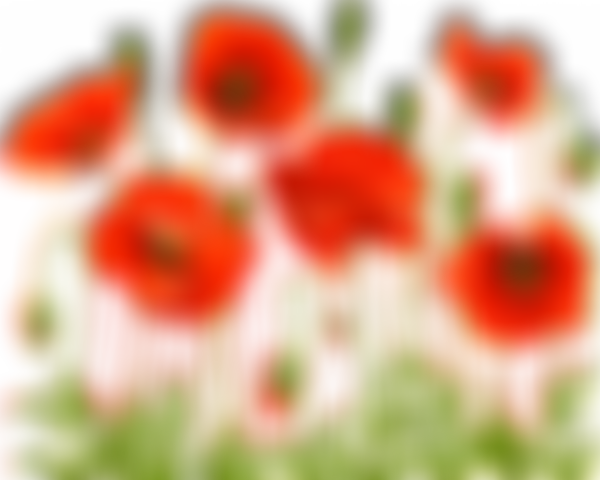 Poppy Pre-School | Charici