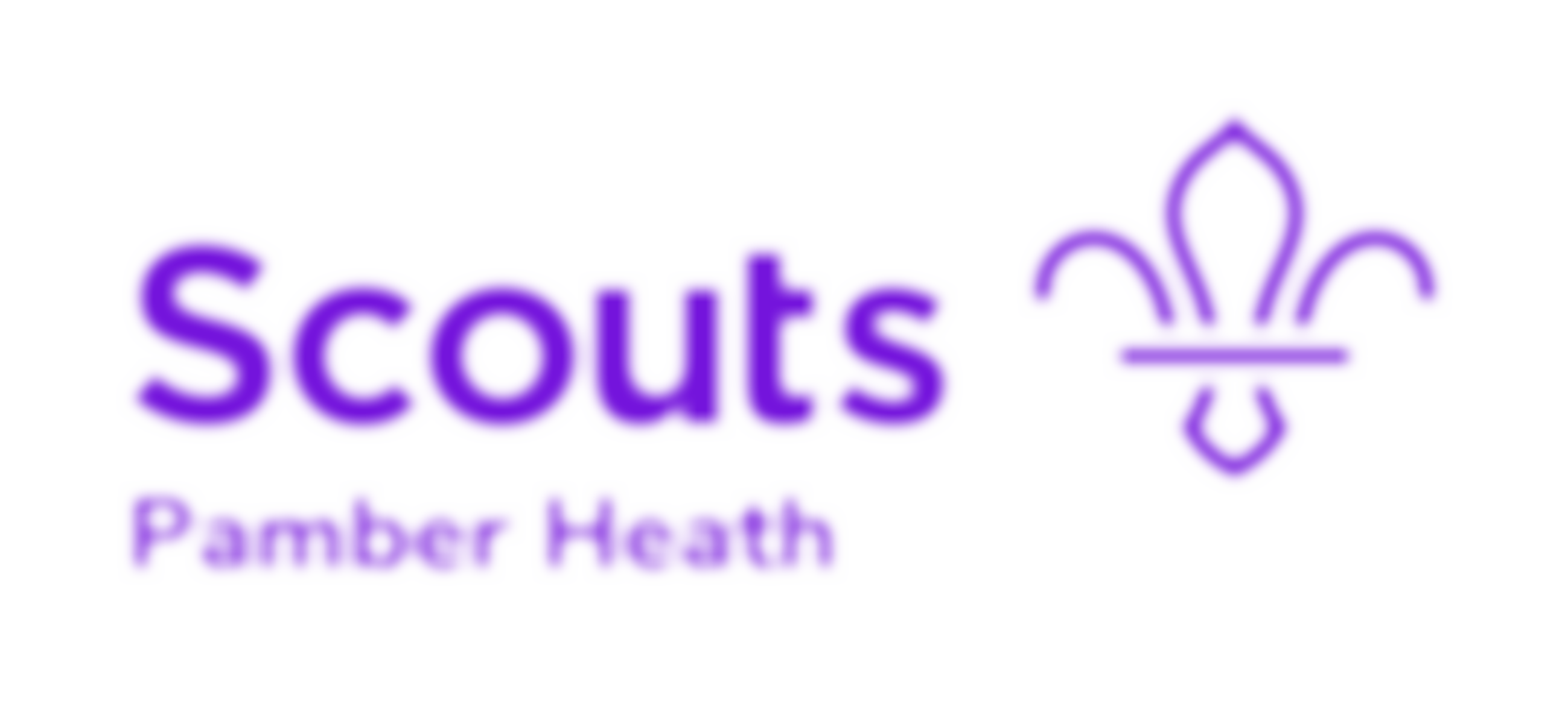 Pamber Heath Scout Group | Charici