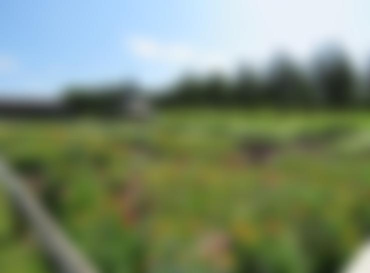 UK Centre For Ecology & Hydrology | Charici