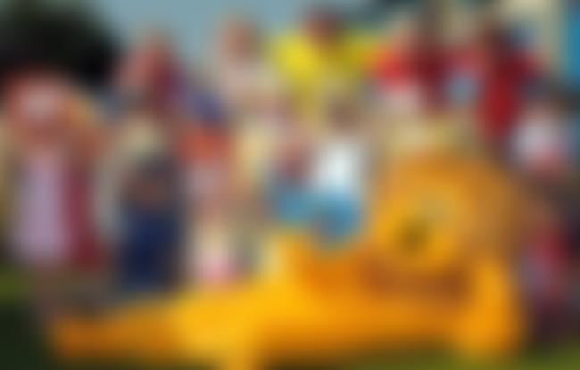 Minster Lions Club Of York (Cio) | Charici