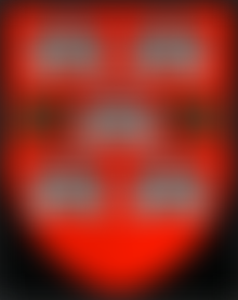 Winchester Excavations Committee | Charici