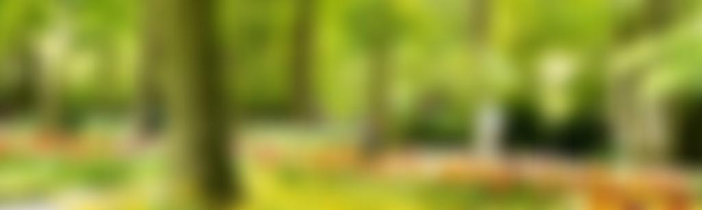 The National Federation Of Parks And Green Spaces | Charici