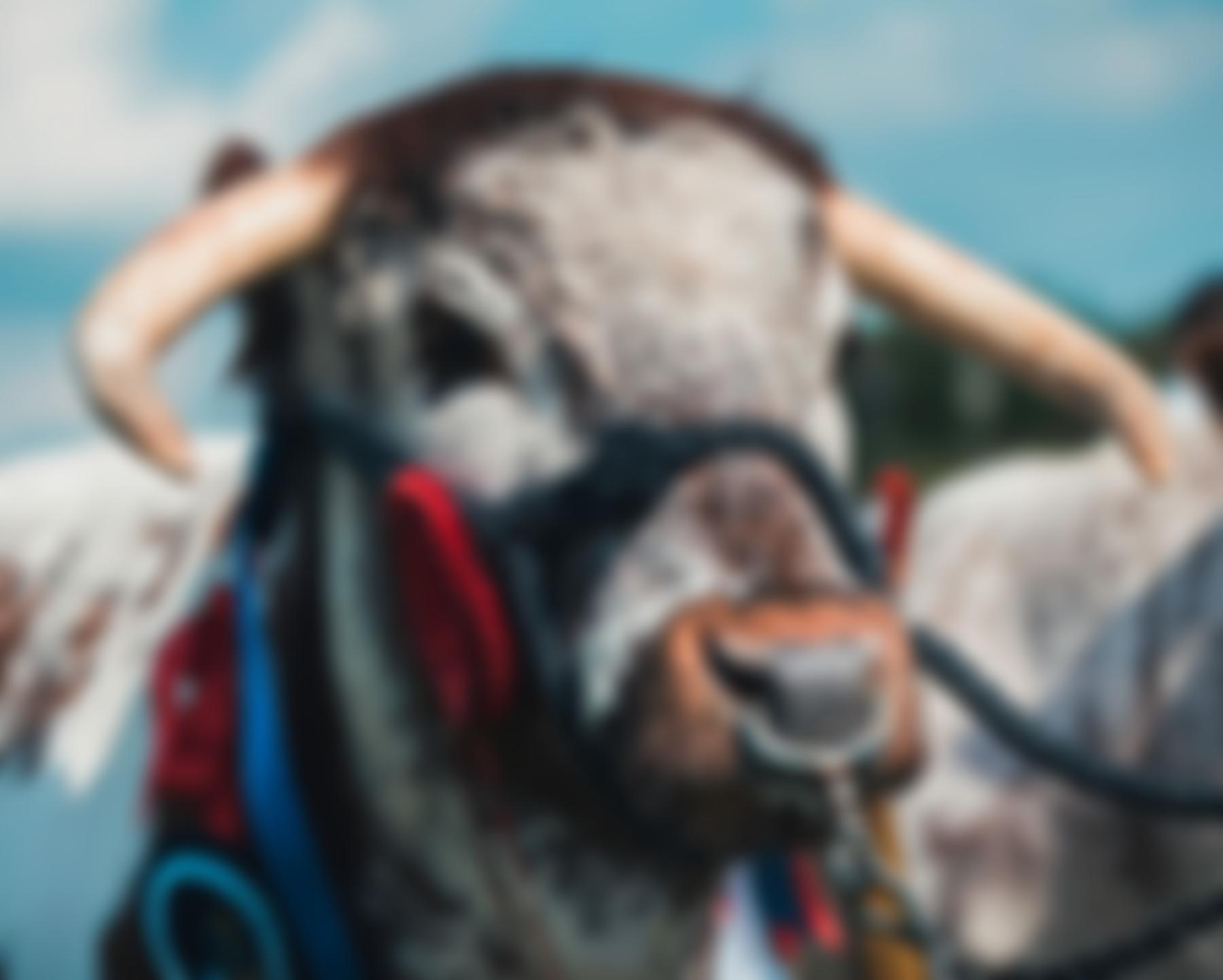 Rutland Agricultural Society | Charici