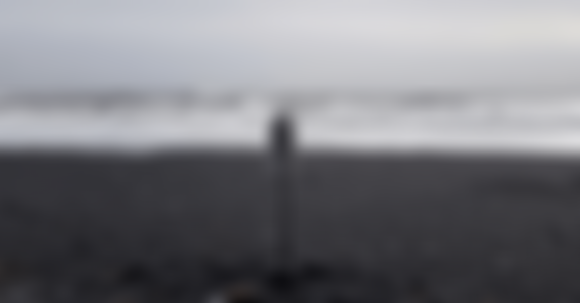 Invisible Flock Co | Charici