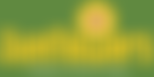 Sunflowers Children's Action Group | Charici