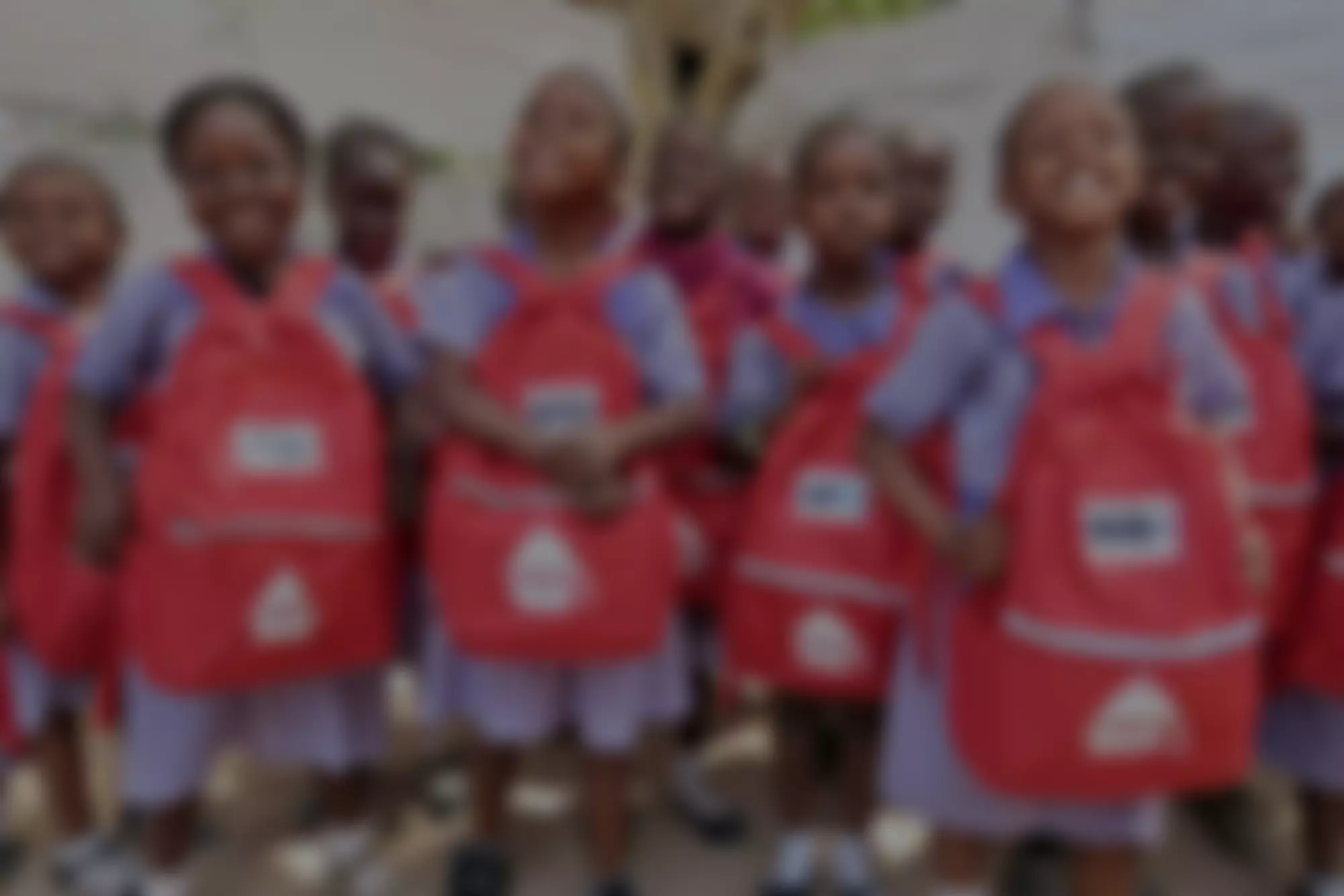 School In A Bag | Charici