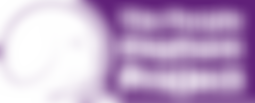 The Purple Elephant Project | Charici