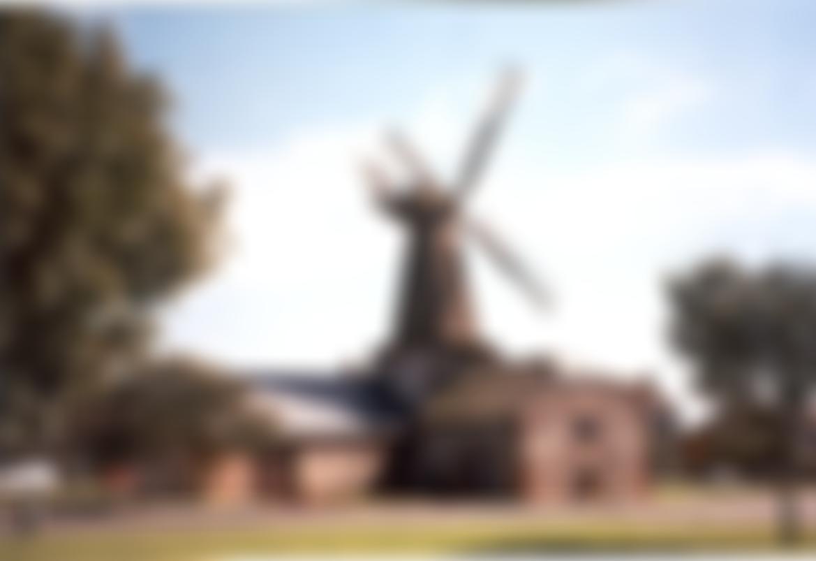 West Blatchington Windmill Society | Charici