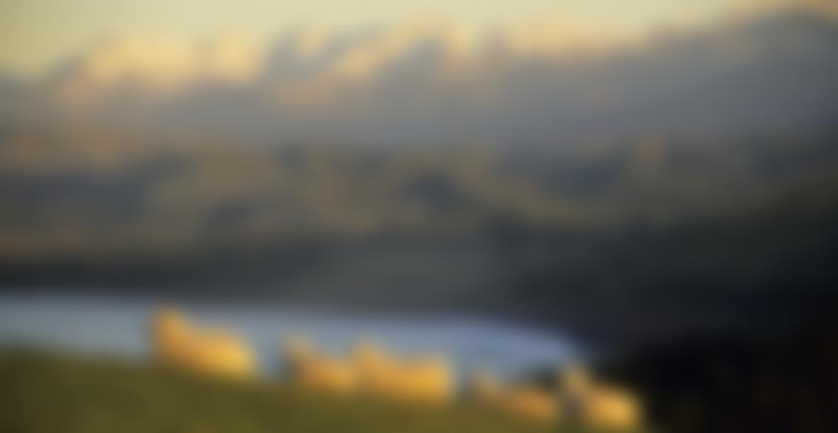 Accessible Prophecy Cio | Charici