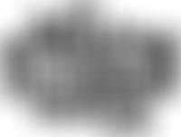 Gallery Players | Charici