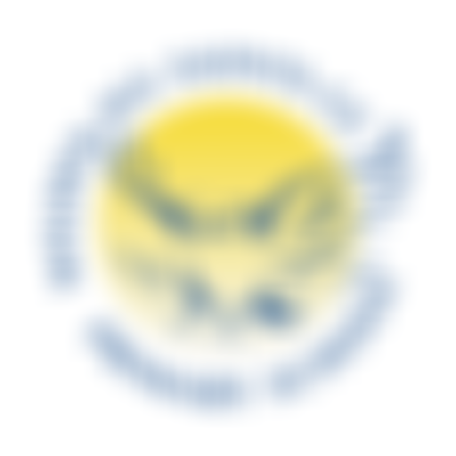 Wilden All Saints Ce Primary School Parent And Teacher Association | Charici