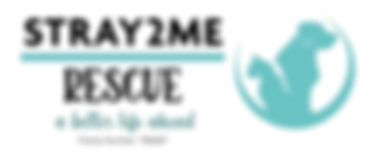 Stray2Me Rescue | Charici