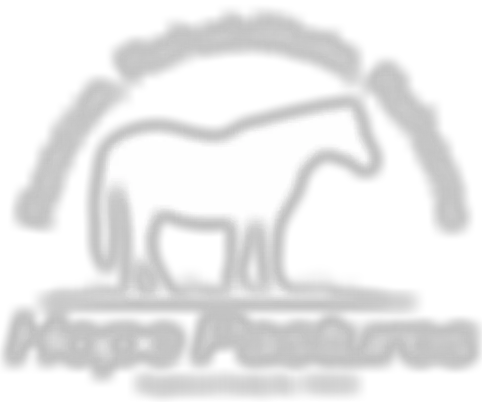 Hope Pastures Horse & Donkey Rescue And Welfare | Charici