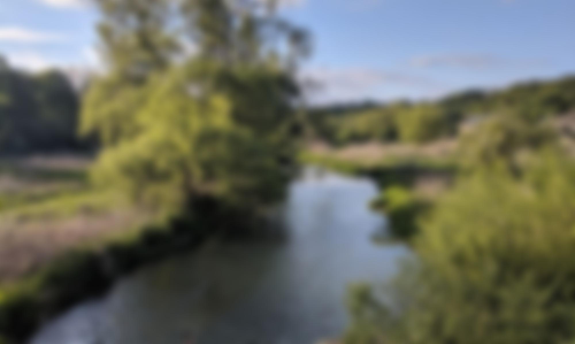 Save Beane Marshes Limited | Charici