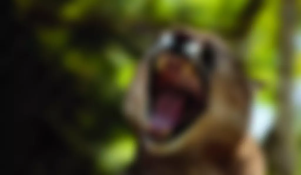 Exmoor Zoological & Conservation Centre | Charici