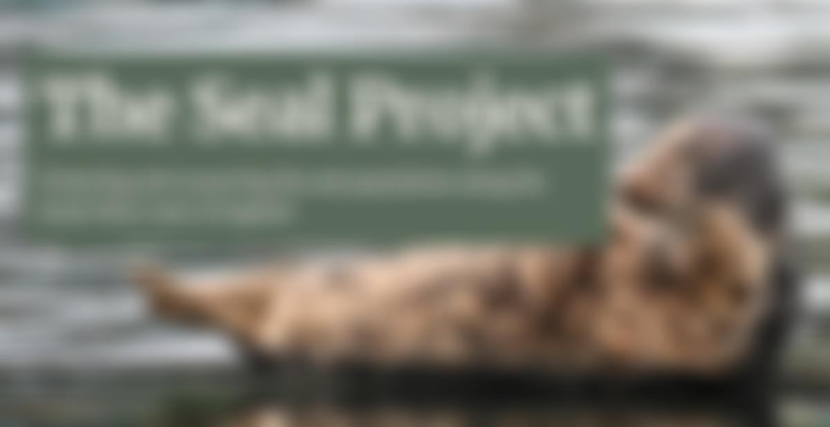 The Seal Project | Charici