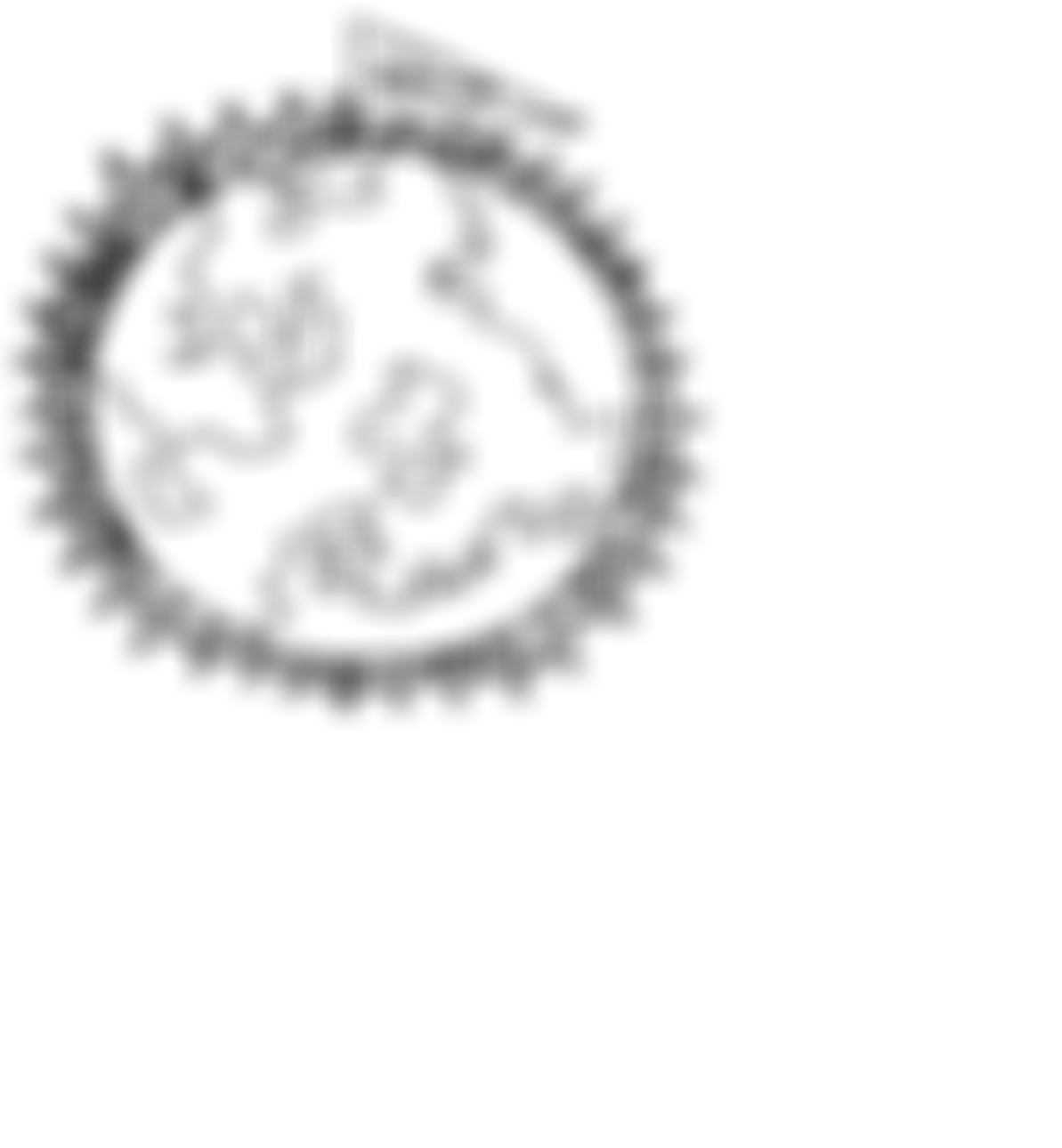 Belmont Families | Charici