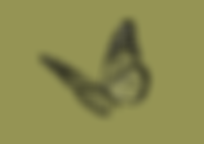 Serpentine Community Garden Society Charitable Incorporated Organisation | Charici