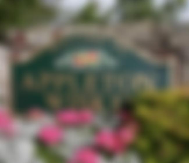 Appleton Wiske Village Hall Cio | Charici