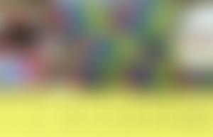 Gecko On The Move | Charici