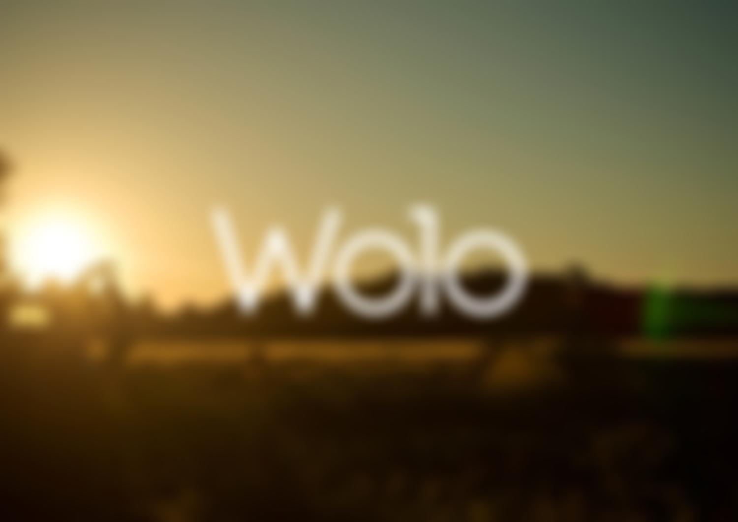 Wolo Foundation | Charici