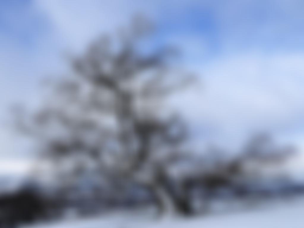 Winchcombe Area U3A | Charici