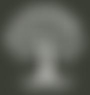 Friends Of Mutake School | Charici