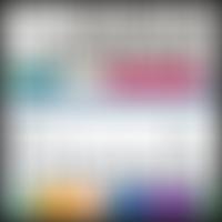 The Friends Of The Museum Of Somerset | Charici