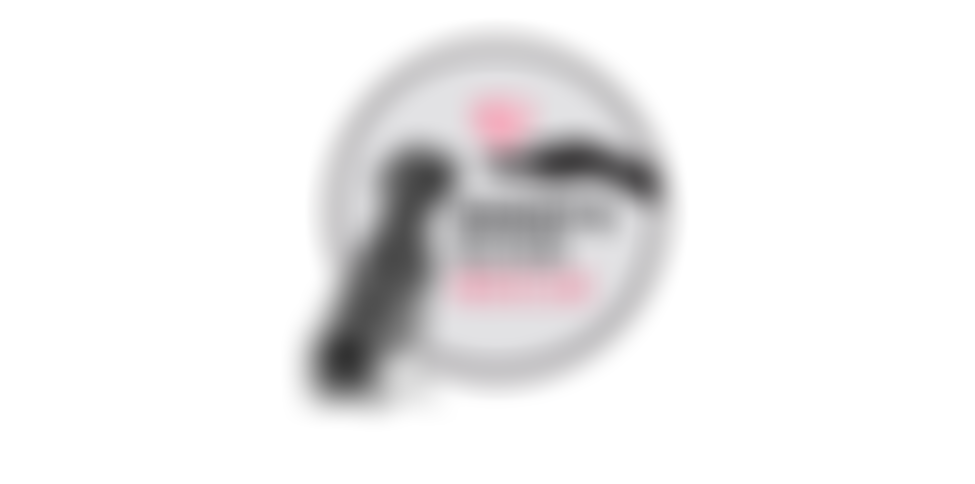 Buddy's Boxer Rescue | Charici