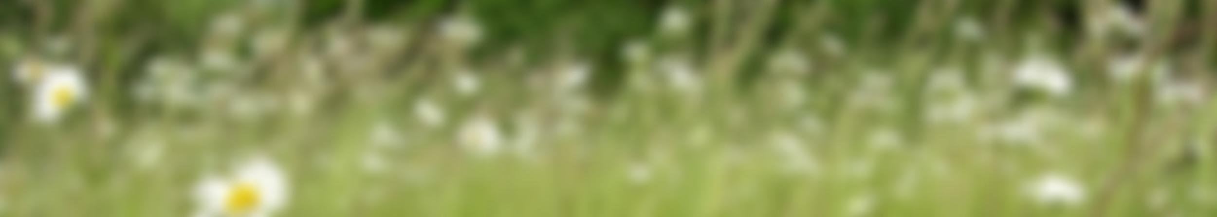 Sustainable Cottenham | Charici