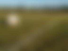 Lawford Football Club | Charici