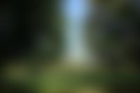 The Friends Of Kennington Park | Charici