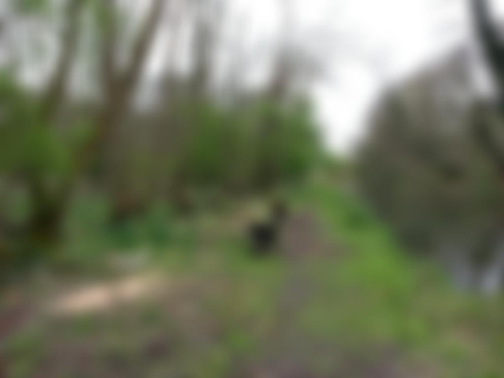 Newbury Environment And Wildlife Team | Charici