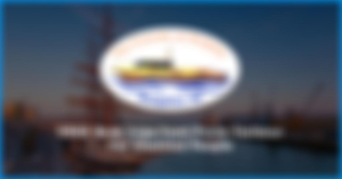 The Friends Of Dolphin | Charici