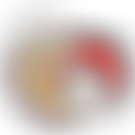 Congregation Of The Daughters Of The Holy Spirit Cio | Charici