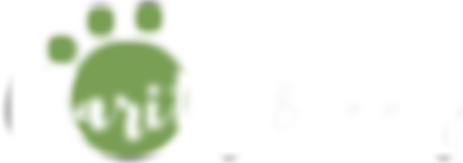 Charity Buddy | Charici