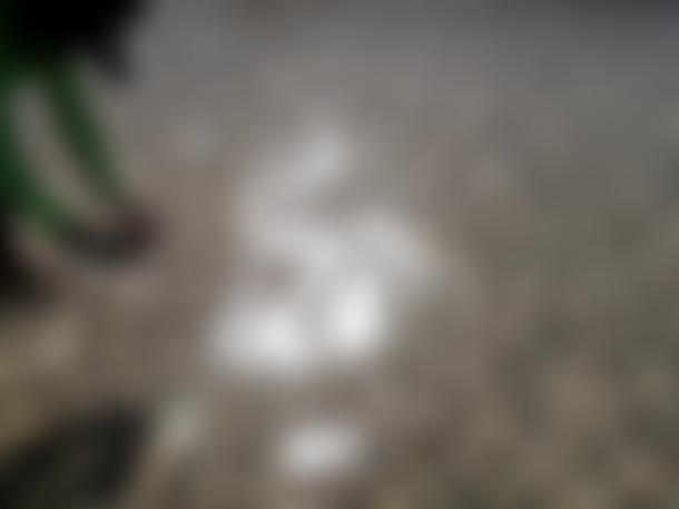 Voice Of Freedom | Charici