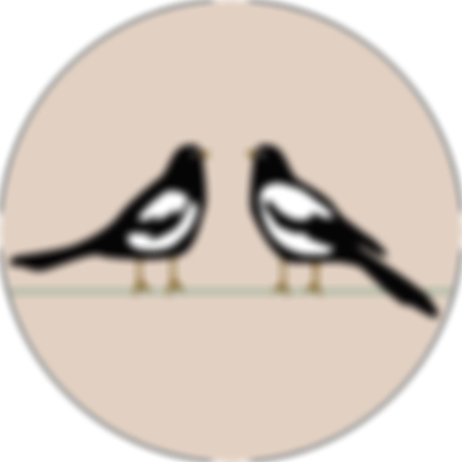 Two Magpies Fund | Charici